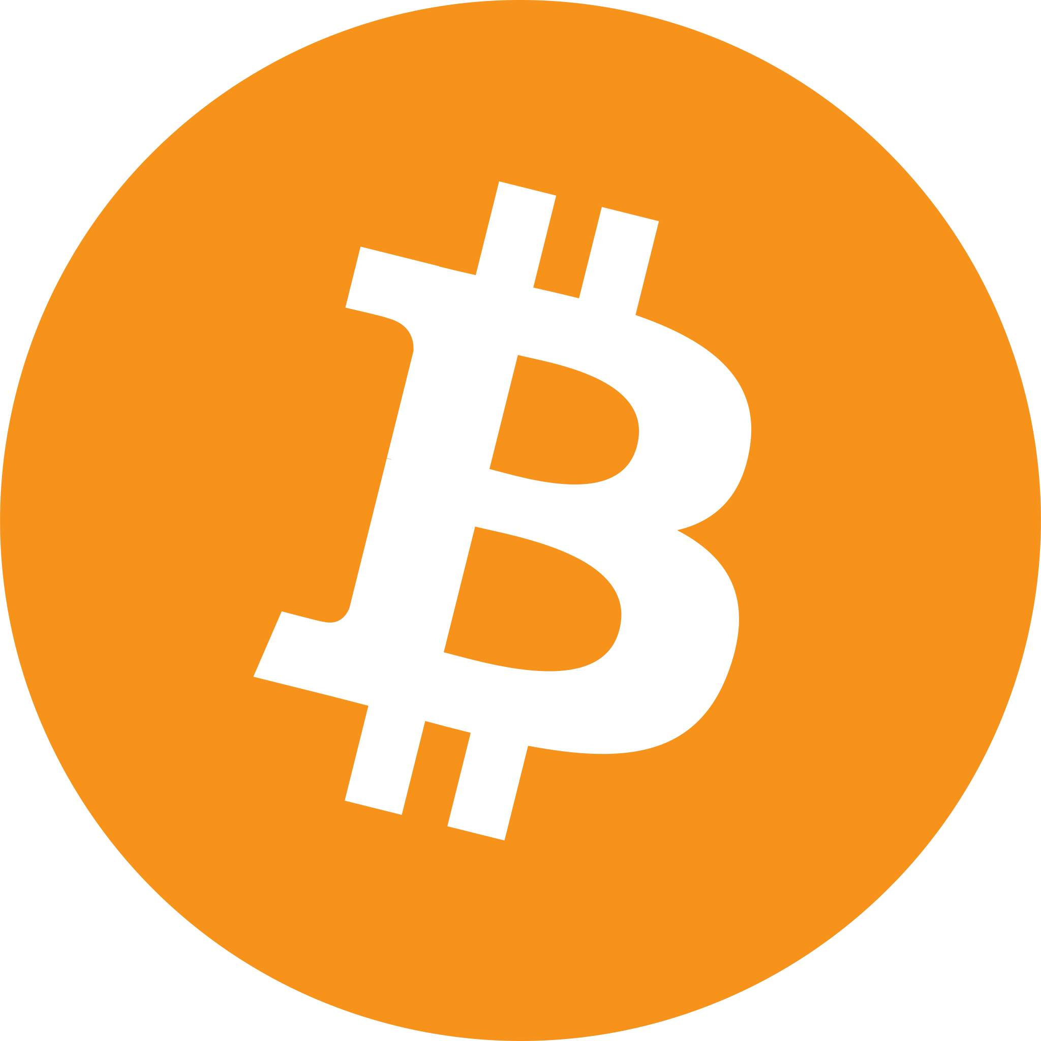 Signet Bitcoin Logo